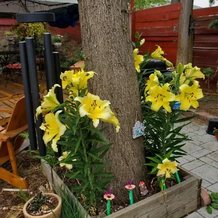 Bungalow Familial Κάμπινγκ